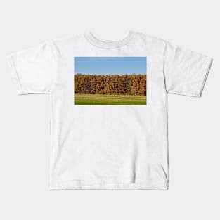 Oak forest in the autumn Kids T-Shirt